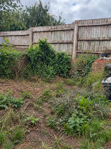 Garden Tidy-Up & Clearance – In Progress Overgrown garden before clearance and tidy-up work
