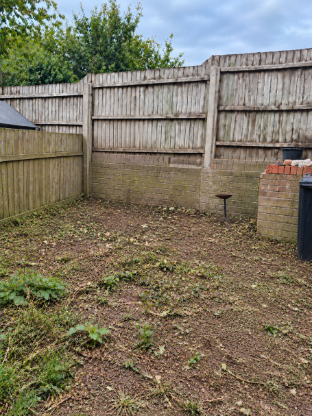 Garden Tidy-Up & Clearance – After Garden after overgrowth clearance and tidy-up